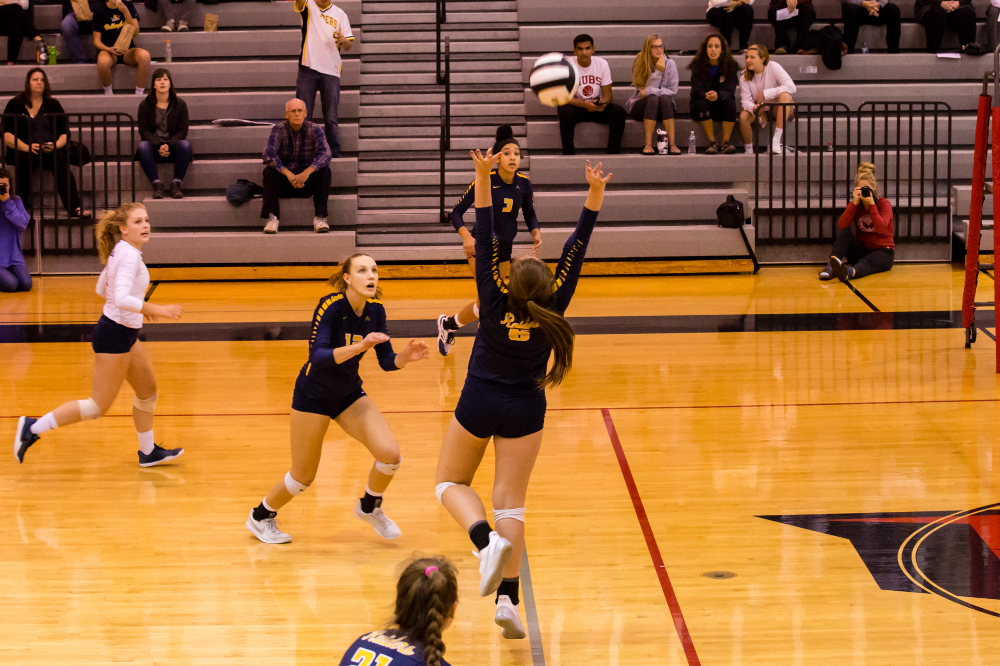 Andersen Vaughan Loudoun County Volleyball