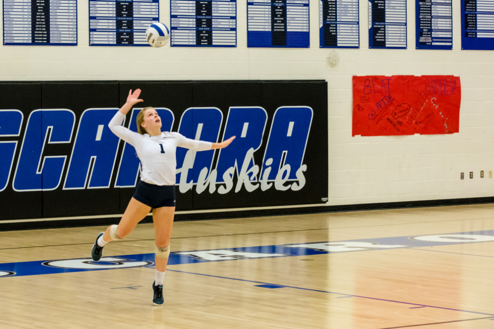 Josi Williams Loudoun County Volleyball