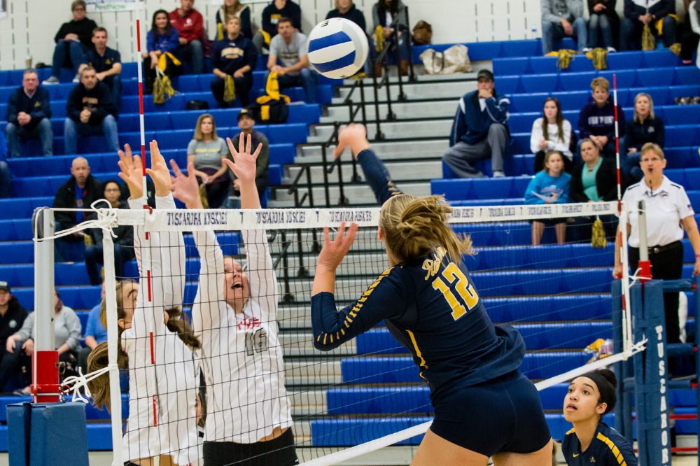 Megan Bukala Loudoun County Volleyball