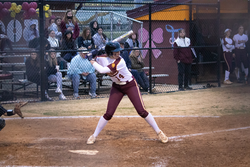 Gabby Sultan Broad Run Softball