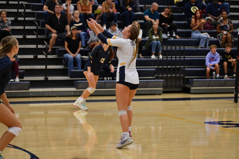 Alayna Johnson Loudoun County Volleyball