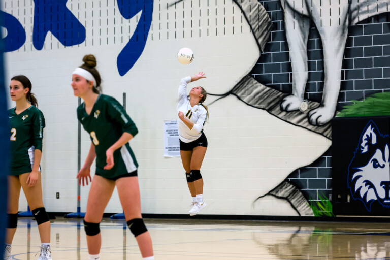 Carly Zimmet Loudoun Valley Volleyball