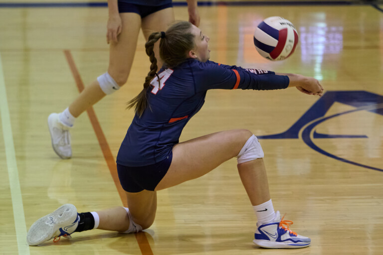 Taylor Hansen Briar Woods Volleyball